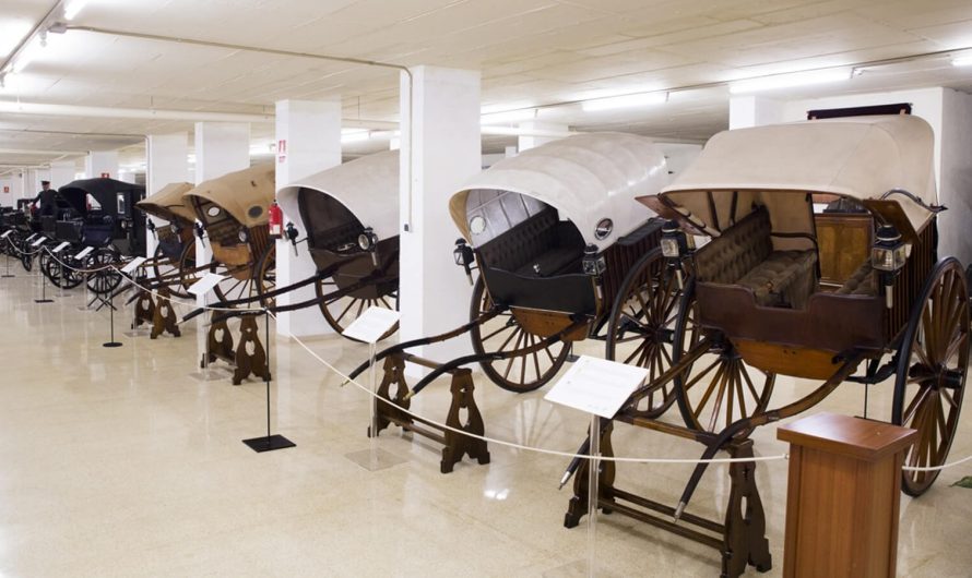 El museu ocult de la Vall d’Hebron